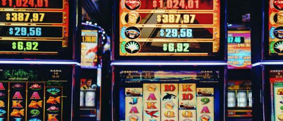 Slot Player care a cÃ¢È™tigat 1 milion de dolari