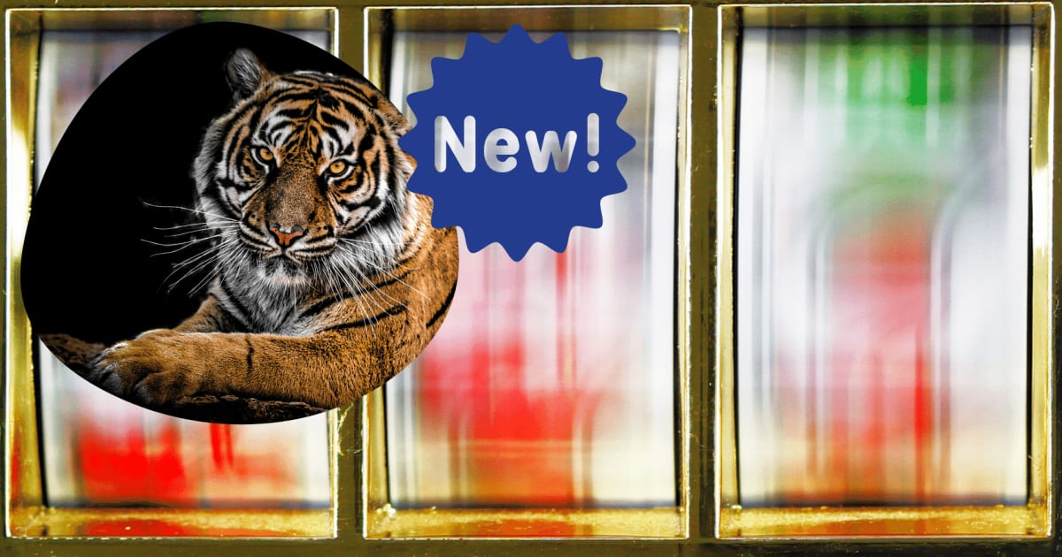 Relax Gaming salută 2022 Tiger Kingdom Infinity Reels